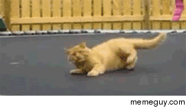 Please help me