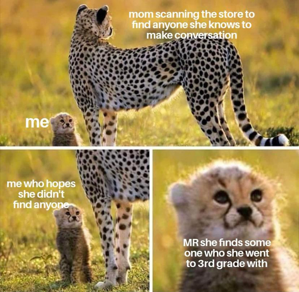Please no