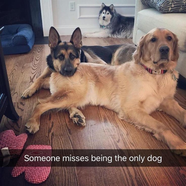 Please play with me Smh