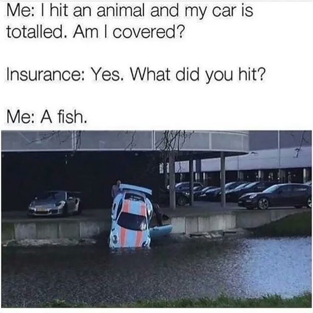 Please Save Fish