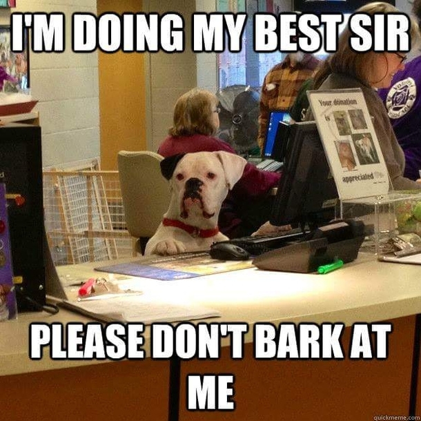 Please sir be a good boy