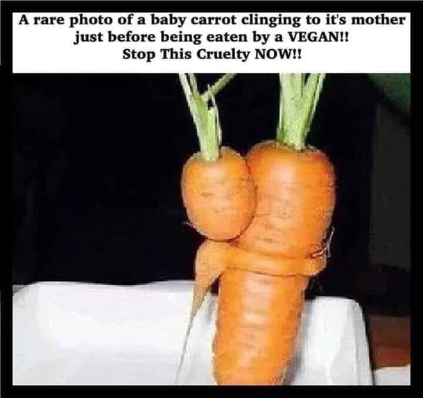 Please stop this cruelty