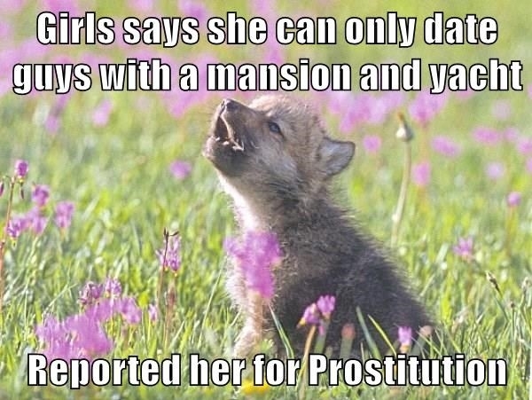 Plenty of Fish Revenge