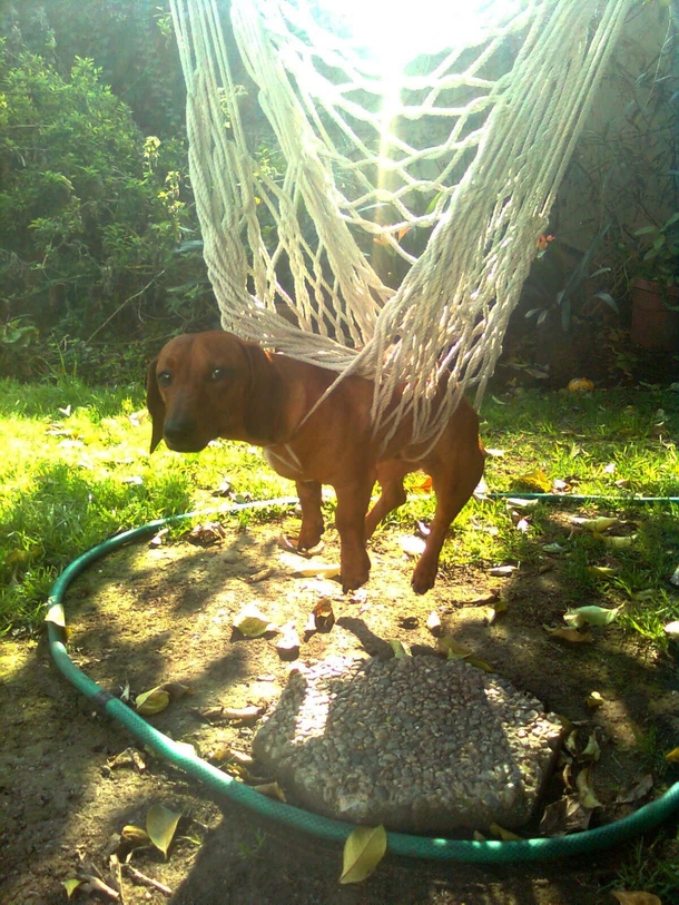 Pls halp Dunno how I got here