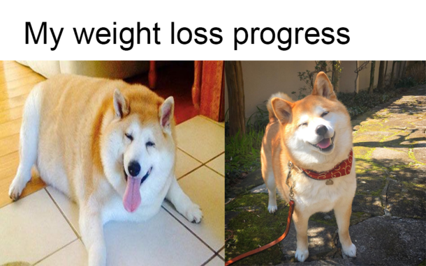 pls no mean comments human