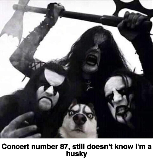 pls this is suoer funny