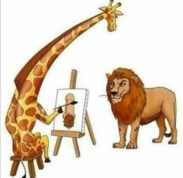 Point of view