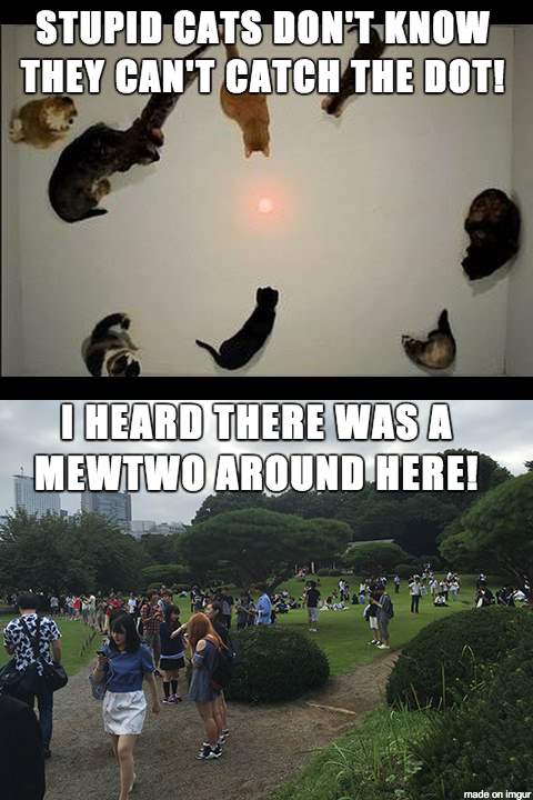 Pokemon Go Players VS Cats