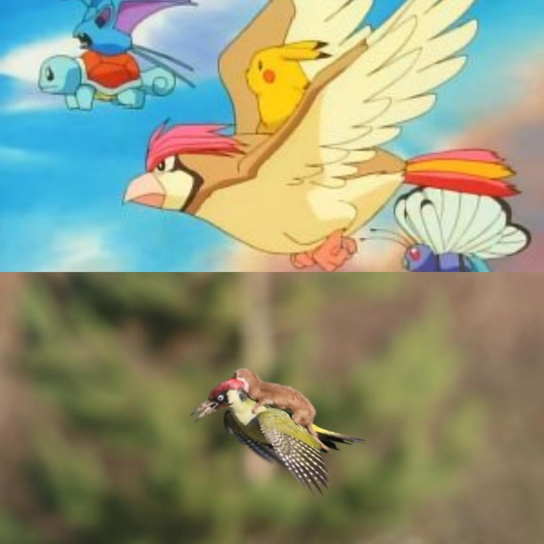 Pokemon live action confirmed