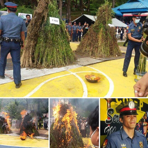 Police burn marijuana in Benguet Philippines