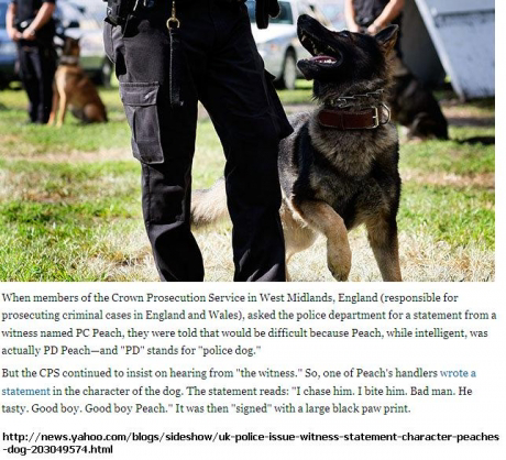 Police dog success narrated to perfection