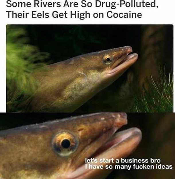 Pollution  business