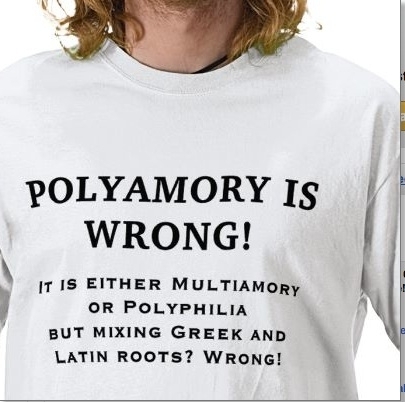 Polyamory is wrong - Meme Guy Polyamory is wrong - Meme Guy