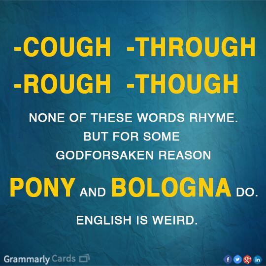 Pony and Bologna