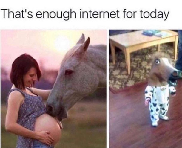 Ponyta use impregnate