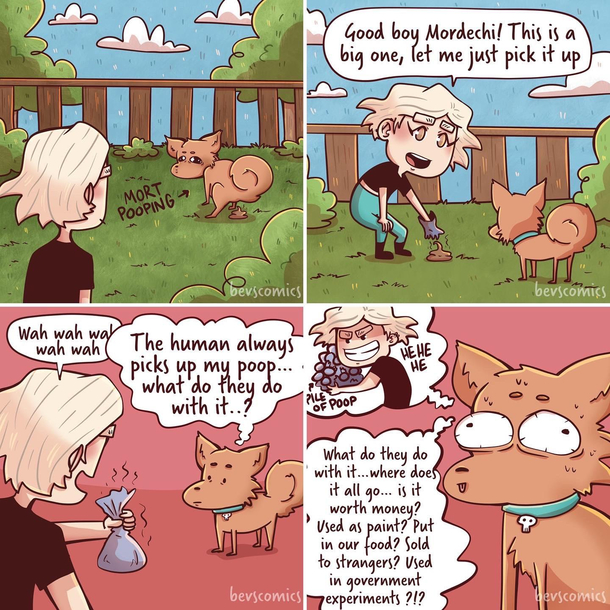 Poop 