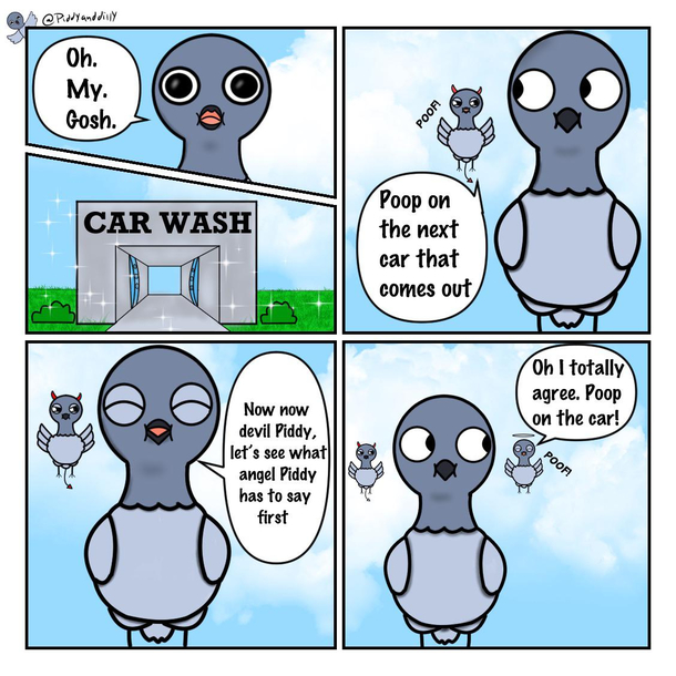 Poop on the car