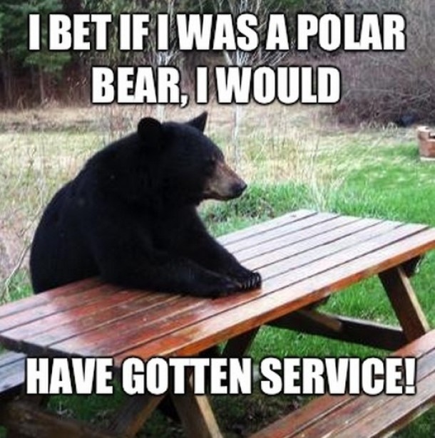 Poor brown bear is feeling discriminated against