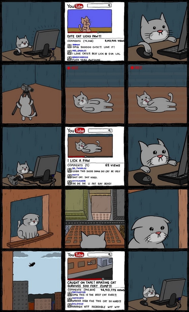 Poor cat