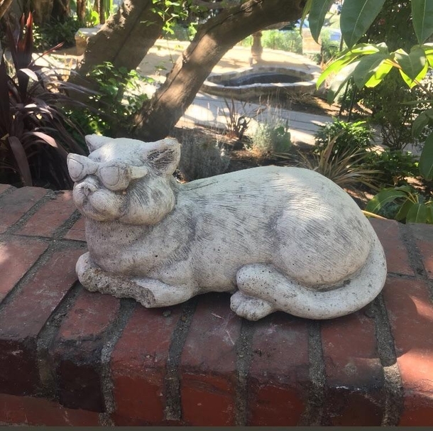 Poor cat thought sunglasses would stop Medusa