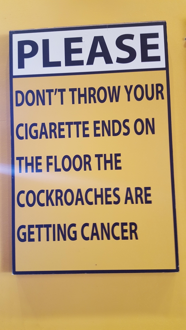 Poor cockroaches