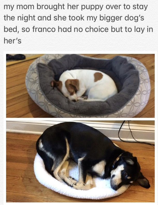 Poor Franco