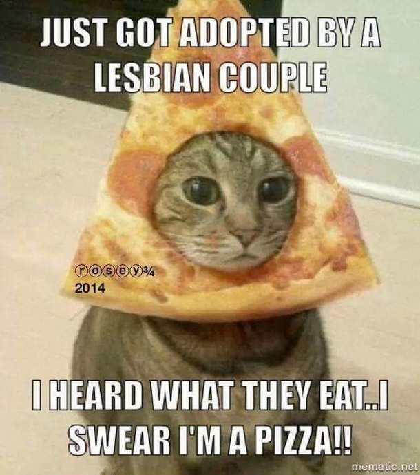 Poor kitty
