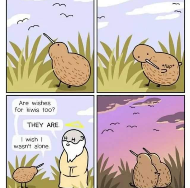 Poor kiwi