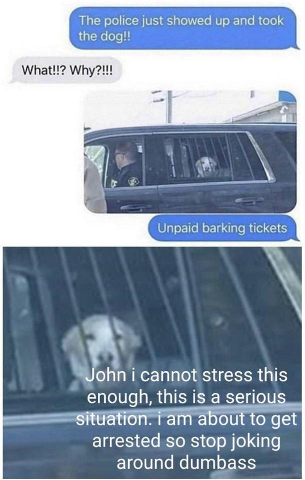 Poor pupperoni