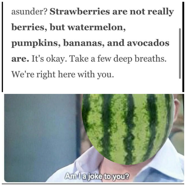 Poor watermelons everywhere