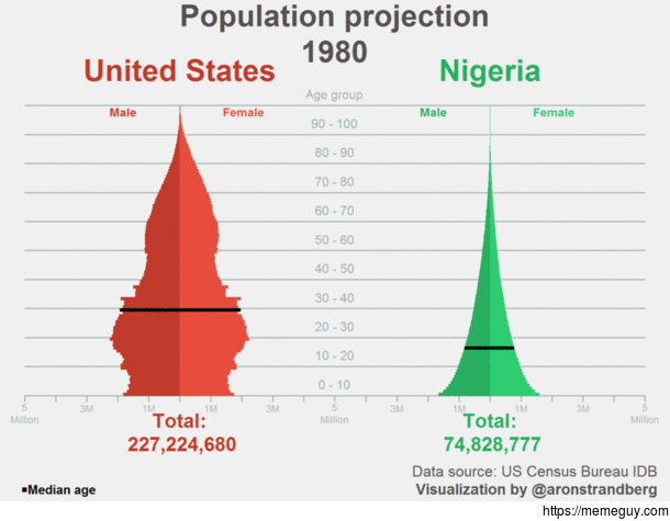 Population of the US and Nigeria with average age