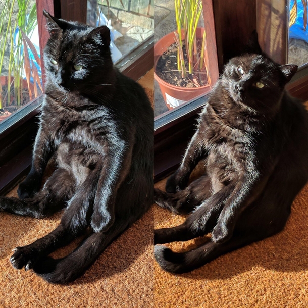 Posed vs unposed