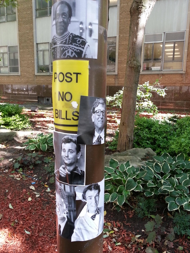 Post no bills saw this all over my campus