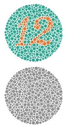 Posted an image of a color-blindness test in greyscale to show that the colors are similarly bright Convinced half a thread they were colorblind Oops