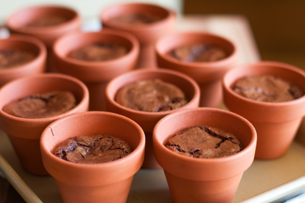 Pot brownies