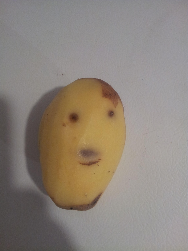 Potadolph Hitler