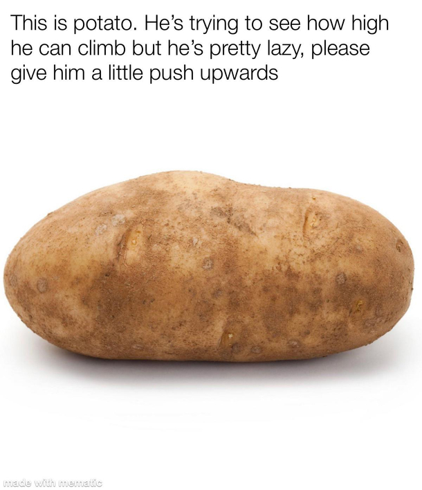 Potato is back