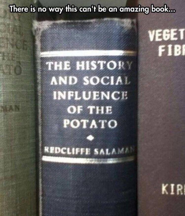 Potato plz