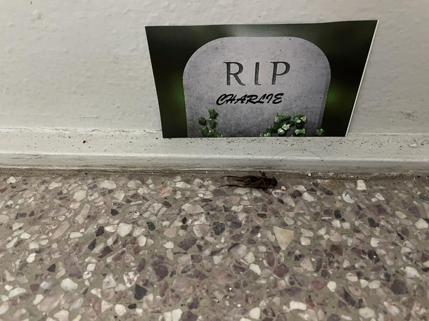 Pour one out for my homie Charlie