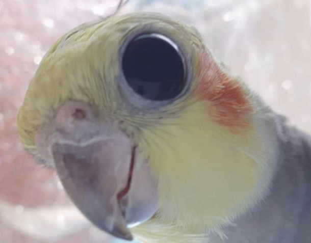 POV Youre a seed