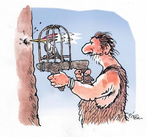 power drill woodpecker