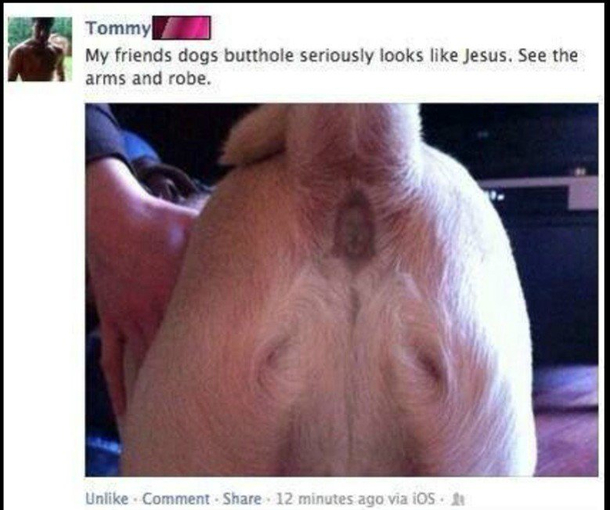 Praise the Lord