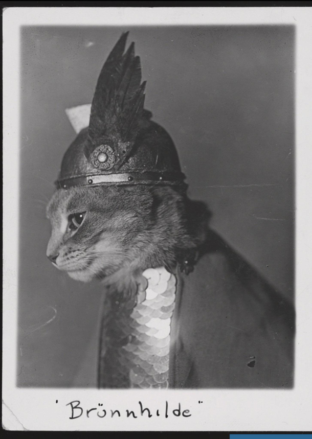 Pre-internet lolcat 