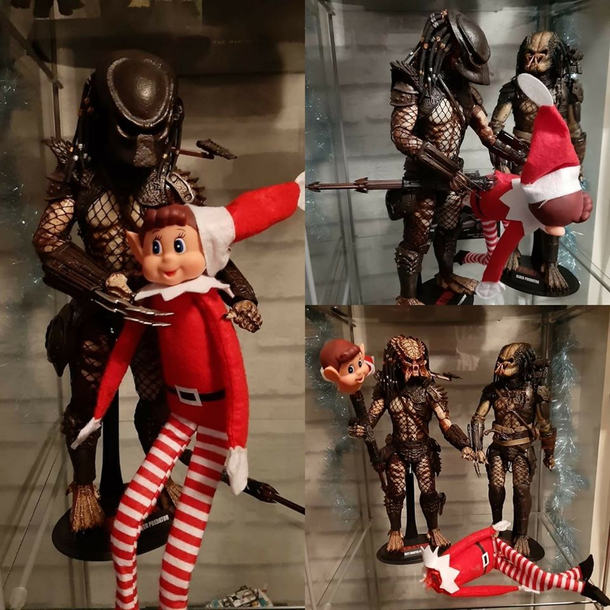 Predator meets Elf on a Shelf