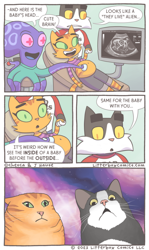 Pregnancy Thoughts 