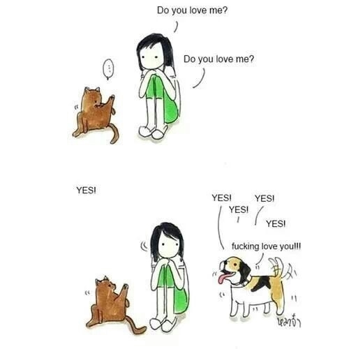 Pretty accurate