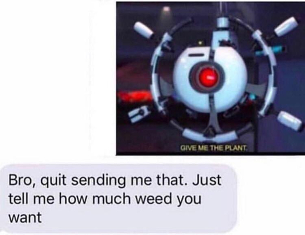 Pretty accurate representation of how I talk to my dealer