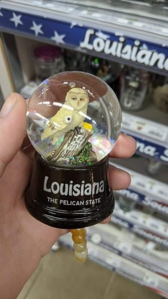 Pretty accurate representation of Louisiana these days