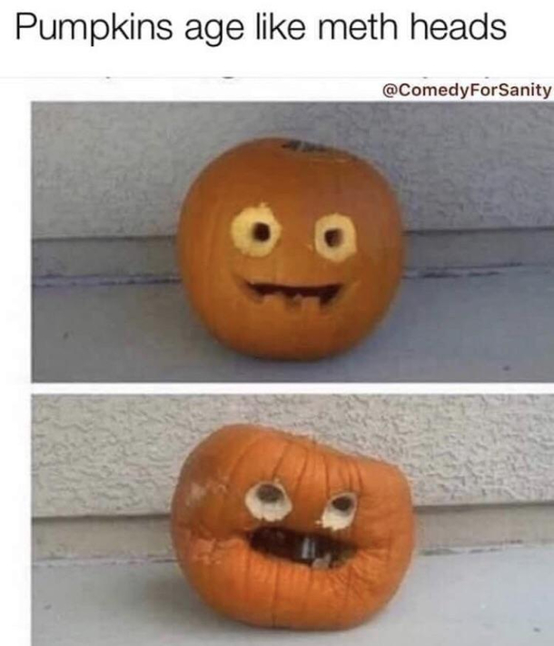 Pretty accurate tbh