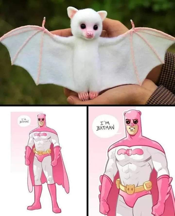 Pretty in pink I am the night